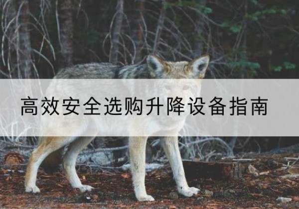 周宁升降货梯厂家推荐-*安全选购升降设备指南