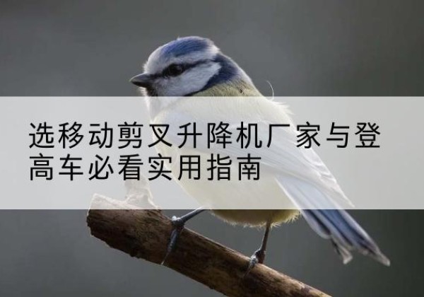 周宁电动升降机厂家-选移动剪叉升降机厂家与登高车必看实用指南