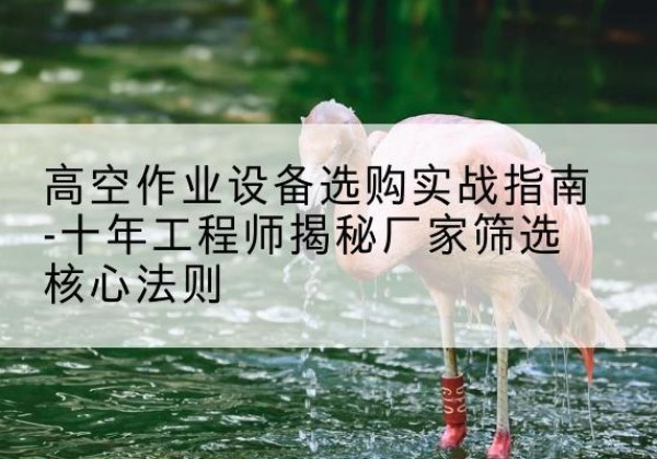 周宁剪叉式升降机厂家-高空作业设备选购实战指南-十年工程师揭秘厂家筛选核心法则